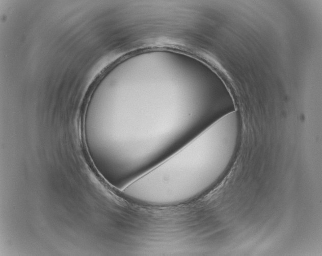 X0000073921032200608111000