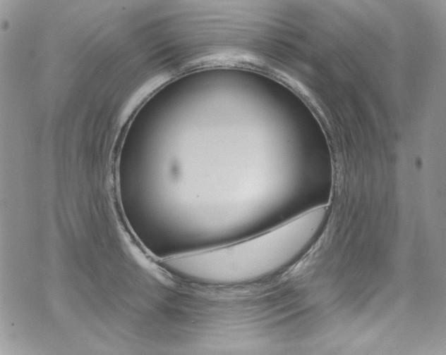 X0000073921042200608111000