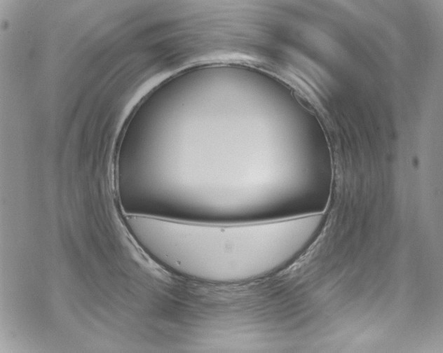X0000073921044200608111000