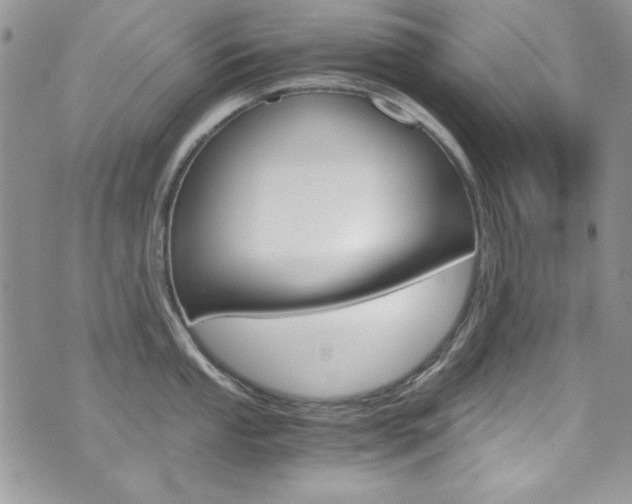 X0000073921053200608111000