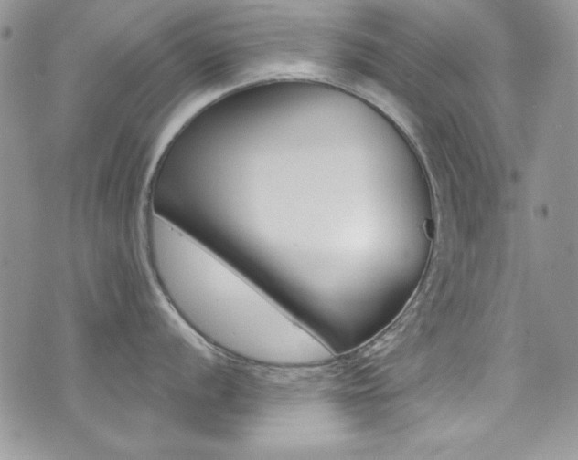 X0000073921056200608111000