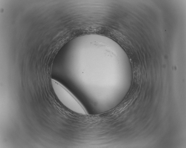 X0000073921058200608110959