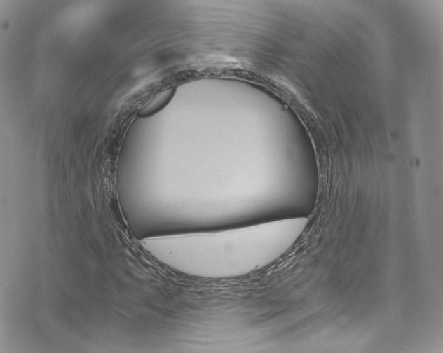 X0000073921063200608110959