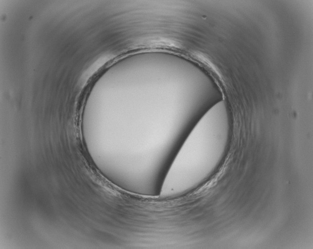 X0000073921071200608110959