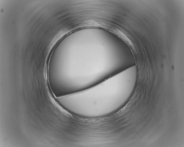 X0000073921084200608110959