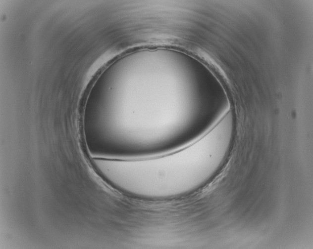 X0000073921085200608110959