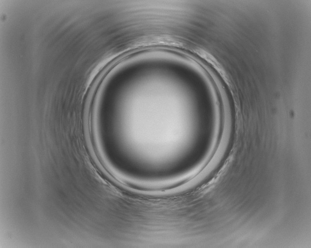 X0000073921089200608110959