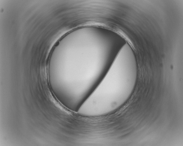 X0000073921092200608110959