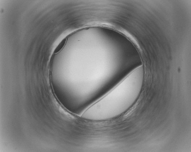 X0000073921102200608110959