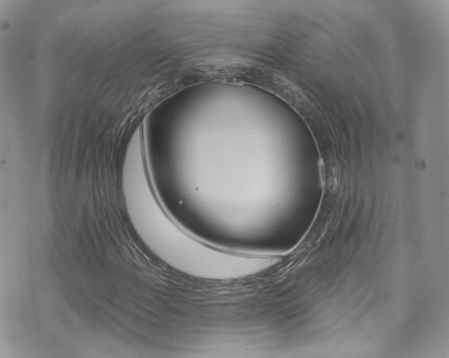 X0000073921108200608110958