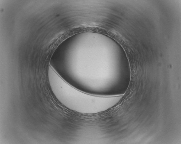 X0000073921110200608110958