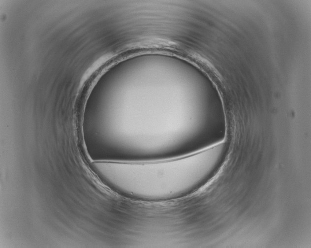 X0000073921114200608110958