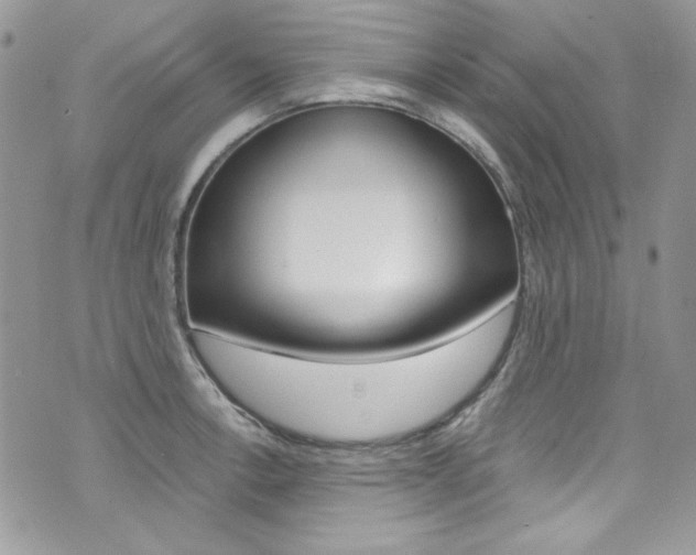 X0000073921138200608110958