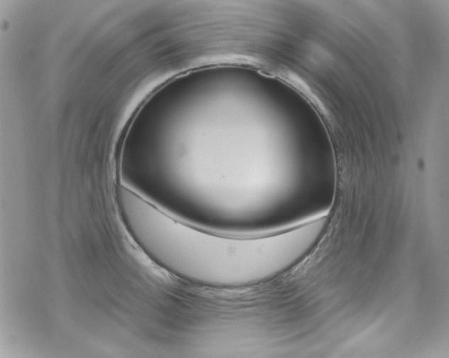 X0000073921140200608110958