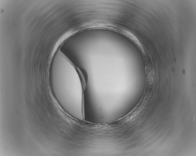 X0000073921146200608110958