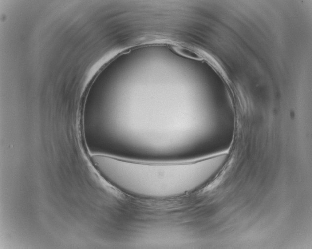 X0000073921149200608110959