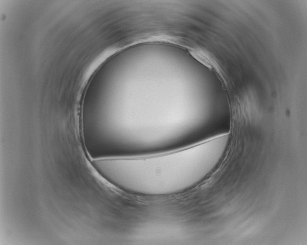 X0000073921151200608110959