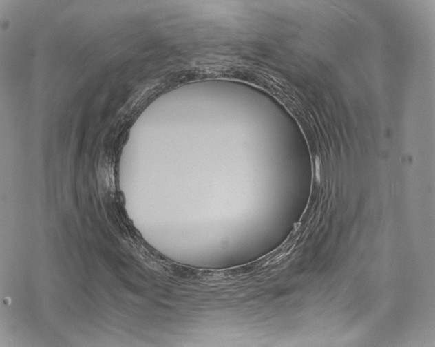 X0000073921155200608110958