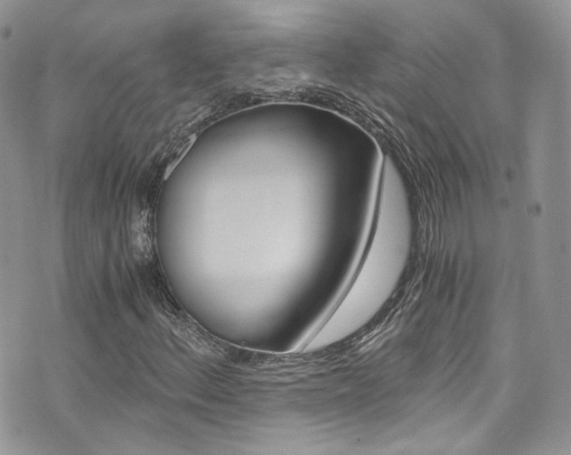X0000073921156200608110958