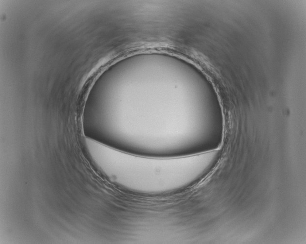 X0000073921165200608110958