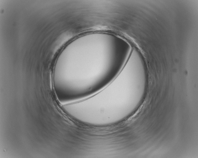 X0000073921171200608110957
