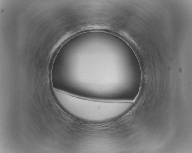X0000073921173200608110957