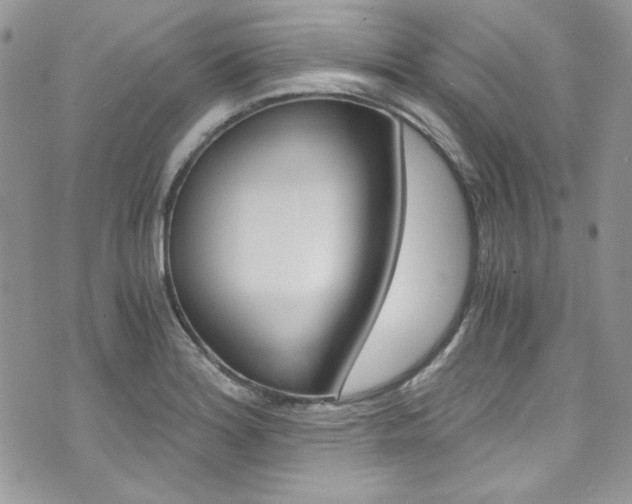 X0000073921180200608110957