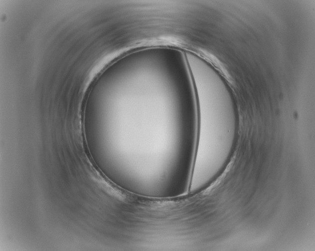 X0000073921184200608110957