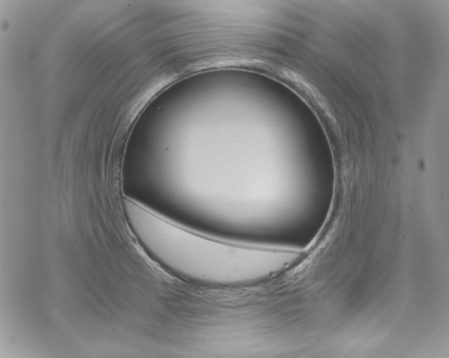 X0000073921185200608110957