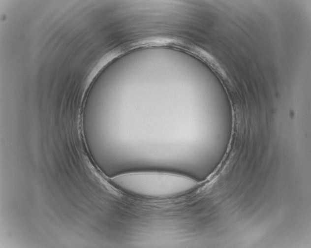 X0000073921186200608110957
