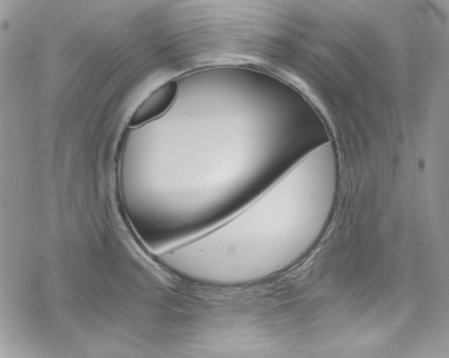 X0000073921187200608110957