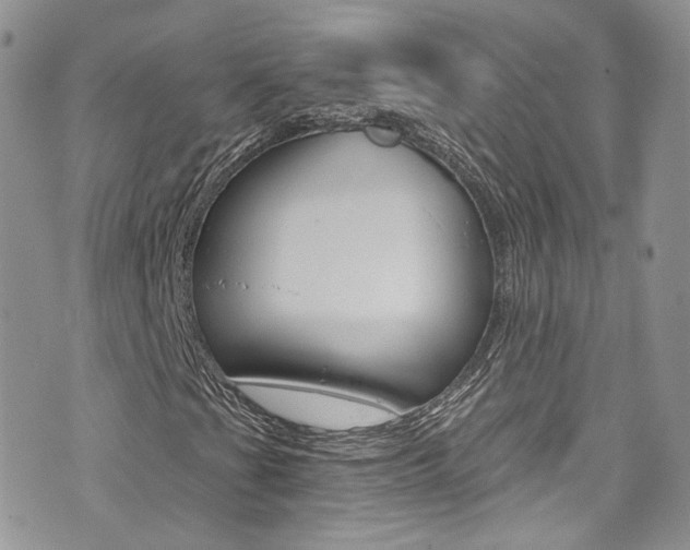 X0000073921201200608110956