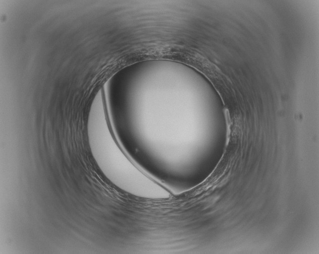 X0000073921202200608110956