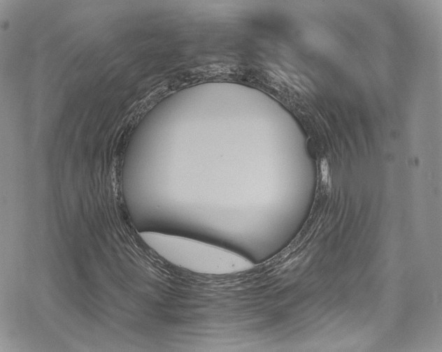 X0000073921203200608110956