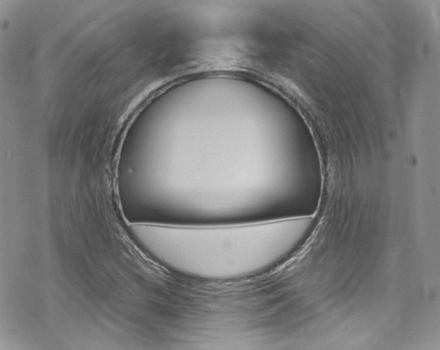 X0000073921212200608110956