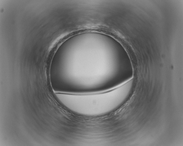 X0000073921214200608110956