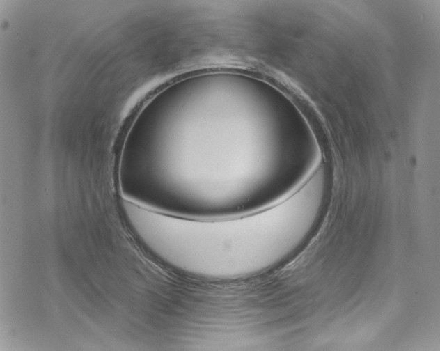 X0000073921222200608110957