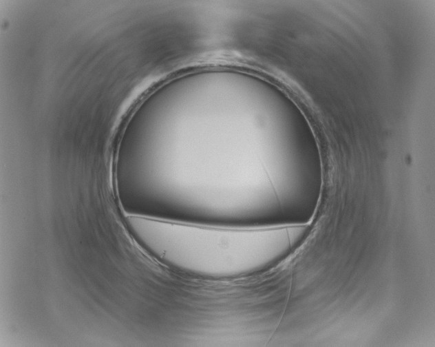 X0000073921224200608110957