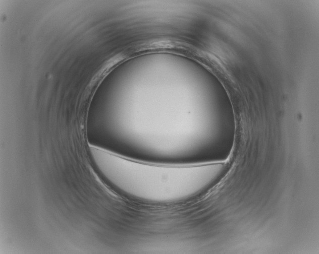 X0000073921225200608110957
