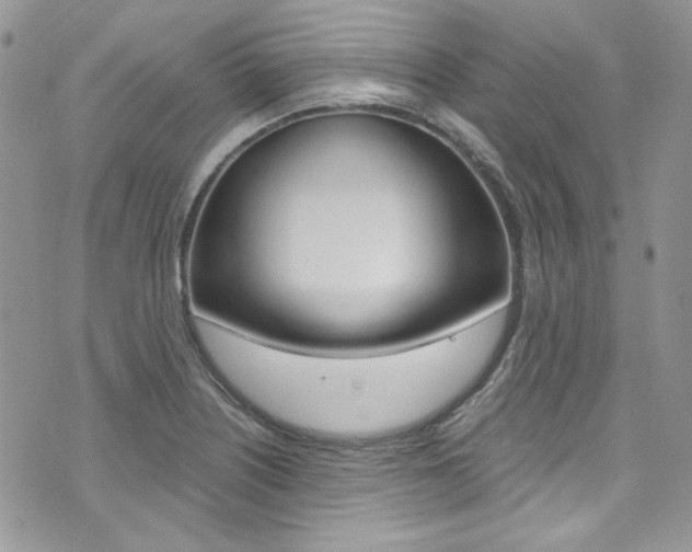 X0000073921226200608110957