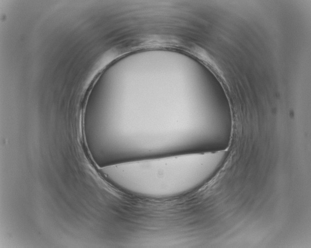 X0000073921227200608110957