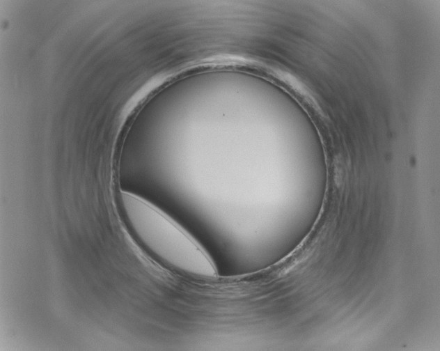 X0000073921229200608110957