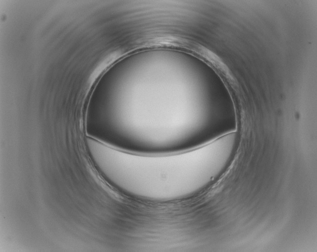 X0000073921234200608110957