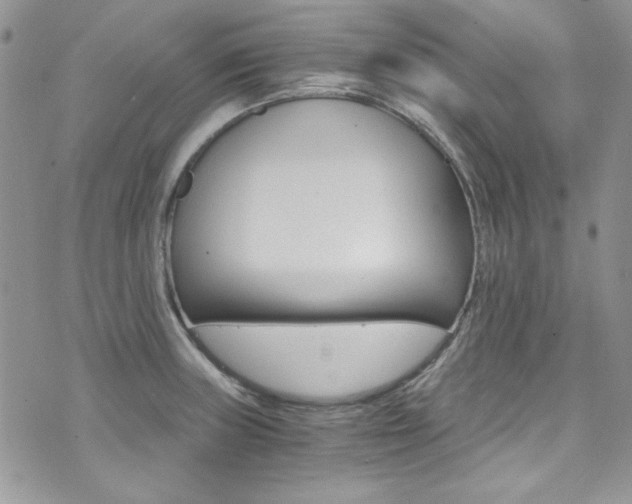 X0000073921235200608110957