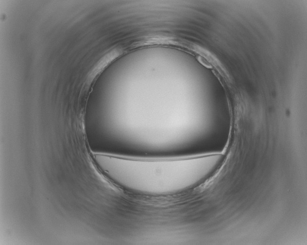 X0000073921241200608110957