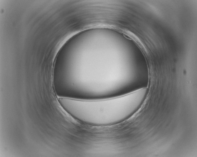 X0000073921244200608110957