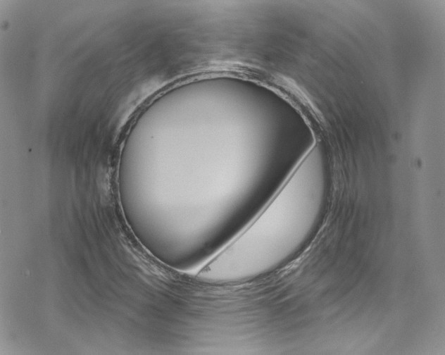 X0000073921260200608110956