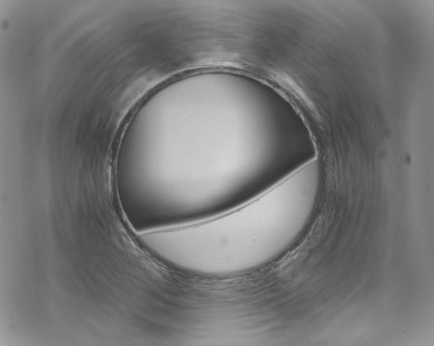 X0000073921268200608110956