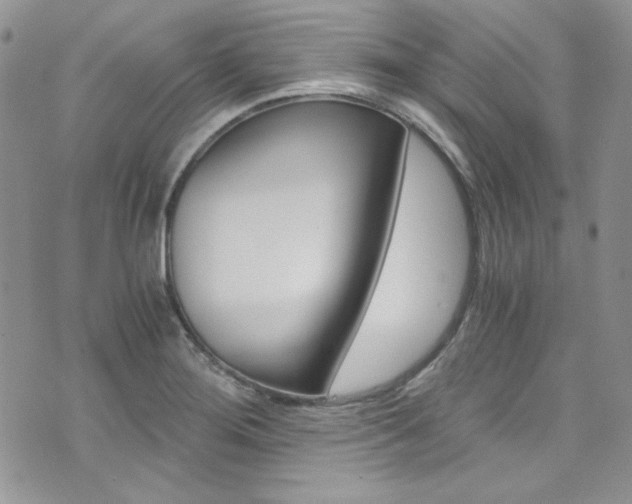 X0000073921276200608110956