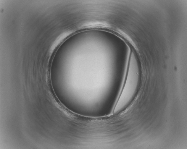 X0000073921277200608110956